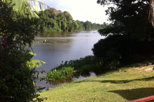 Upper Suriname River